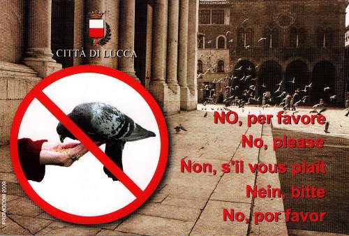 la cartolina anti-piccioni